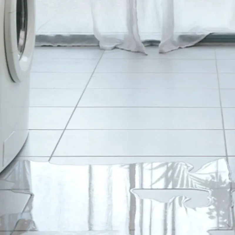 Appliance Leak Cleanup in Forrest, IL