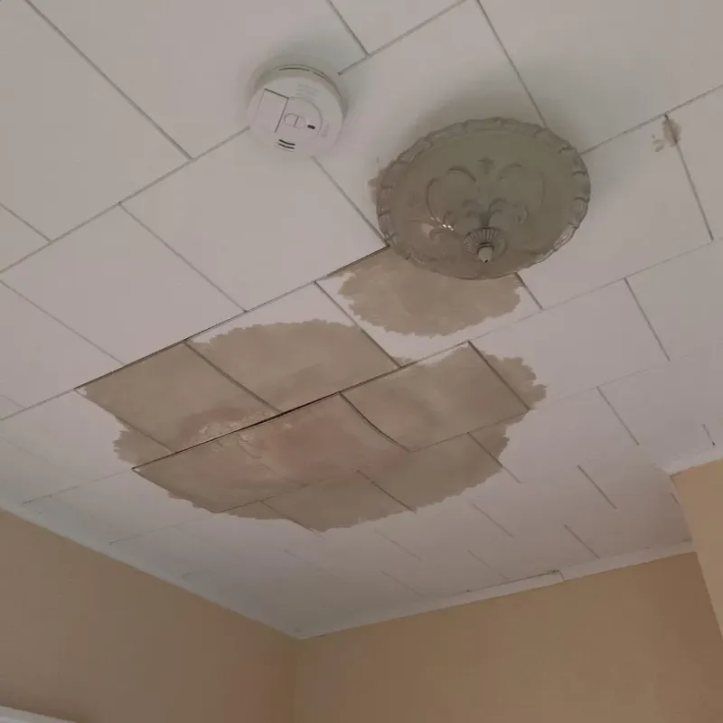 Ceiling Water Damage Repair in Forrest, IL
