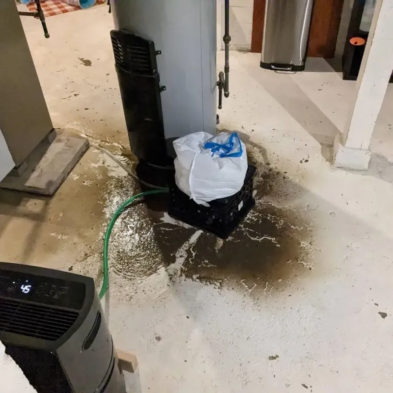 Sewage Backup Cleanup Service in Forrest, IL